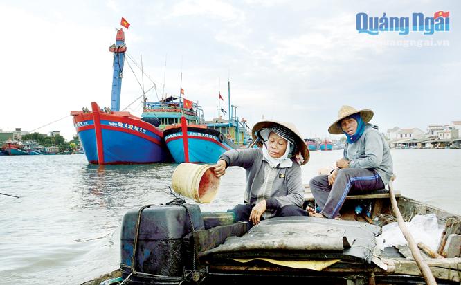 Gần 10 năm qua vợ chồng cô Hồng, ở xã Tịnh Kỳ (TP.Quảng Ngãi) lái ghe chở khách ở cửa biển Sa Kỳ làm kế sinh nhai.  