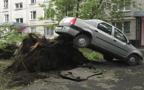 Một chiếc xe bị bão quăng lên gốc một cây bị quật đổ ở Moscow hôm 29/5. Ảnh: Reuters.
