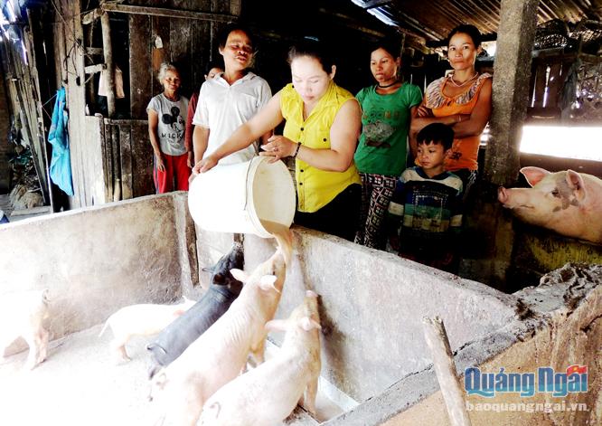 Nhiều phụ nữ và người dân trong thôn đến tham quan mô hình chăn nuôi của chị Đinh Thị Ấy, ở xã Sơn Dung (Sơn Tây).