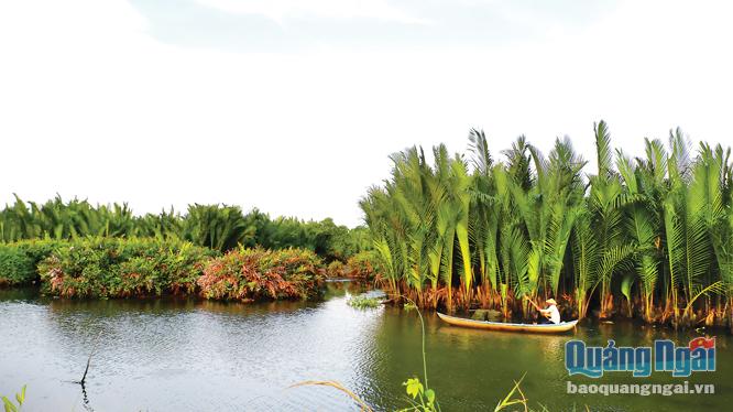  Vẻ đẹp thanh bình của rừng dừa nước xã Tịnh Khê (TP. Quảng Ngãi).
