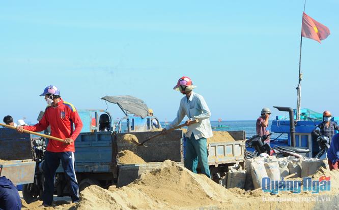 Người dân huyện Lý Sơn đưa cát từ cầu cảng về các công trình xây dựng.    