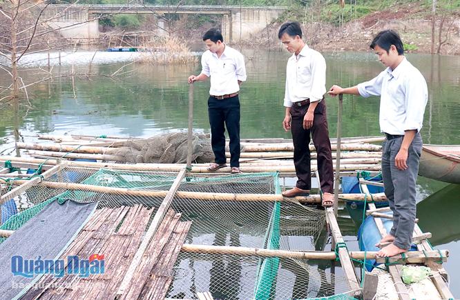 Mô hình nuôi cá nước ngọt ở xã Trà Xinh mở ra hướng phát triển thủy sản cho huyện vùng cao Tây Trà.                             Ảnh: BS