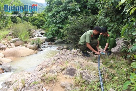 Để có nguồn nước tưới cho vườn cây, các chiến sĩ đã nối đường ống nước kéo từ suối nước Min về.