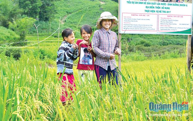 Mô hình sản xuất lúa nước do dự án giảm nghèo khu vực Tây Nguyên hỗ trợ cho người dân thôn Bồ Nung (Sơn Kỳ).