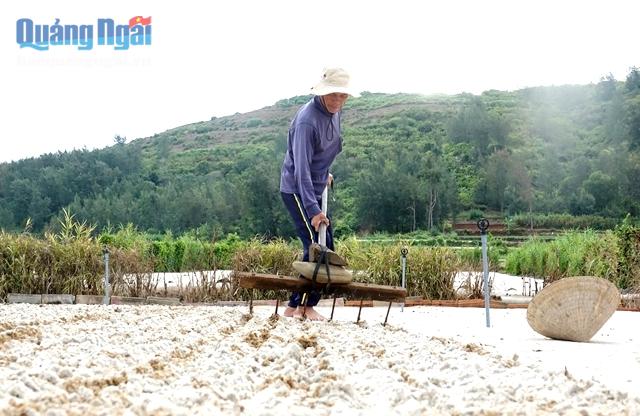 Với đặc thù sản xuất nông nghiệp của huyện đảo, chính quyền địa phương cần sớm triền khai thực hiện phương án thu gom, xử lý đất thải