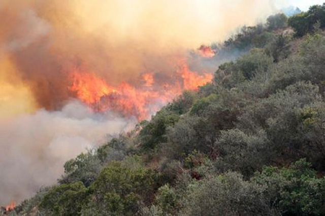 Vụ hỏa hoạn La Tuna ảnh hưởng đến hơn 2.400 hecta khu vực đồi núi Verdugo - Ảnh: Reuters