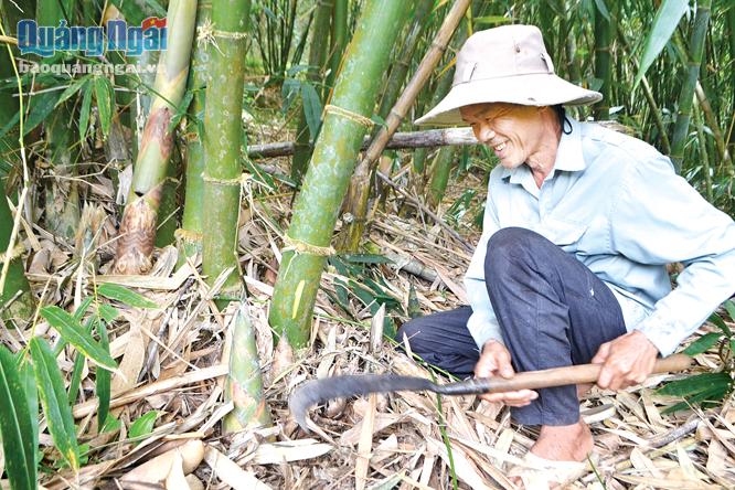 Cựu chiến binh Huỳnh Thanh Liêm cần mẫn lao động với hy vọng tiếp tục mở rộng quy mô trang trại của gia đình.
