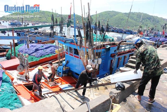 Việc hoàn thành Dự án DEP sẽ giúp huyện Đức Phổ phát triển kinh tế ở nhiều lĩnh vực, trong đó có các dịch vụ hậu cần nghề cá