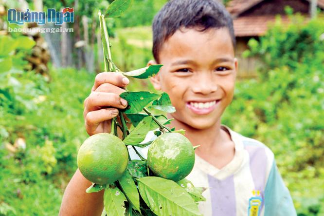 Với lũ trẻ ở thôn Quế, những trái hường thơm ngon là món quà vặt mỗi khi đến lớp vào dịp khai trường.