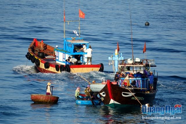 bảo tồn, phát triển hệ sinh thái biển, bảo vệ tốt môi trường biển và nguồn lợi hải sản ven bờ ở huyện đảo Lý Sơn