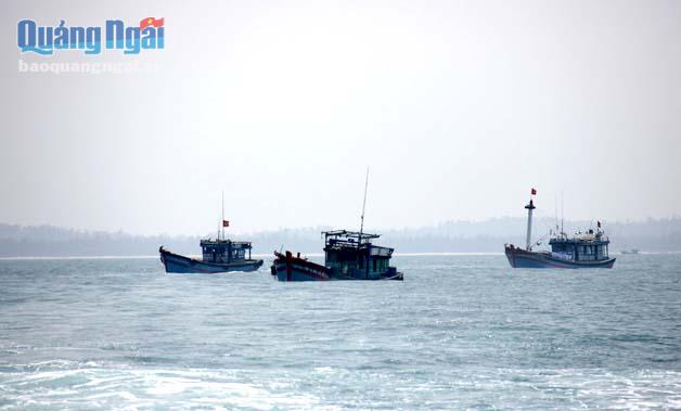 Tàu cá của ngư dân Quảng Ngãi chạy vào đất liền tránh trú bão số 10