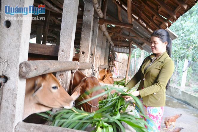 Dù mới 27 tuổi, nhưng chị Lộc rất hăng say trong phát triển kinh tế gia đình ngay trên mảnh đất quê hương.  