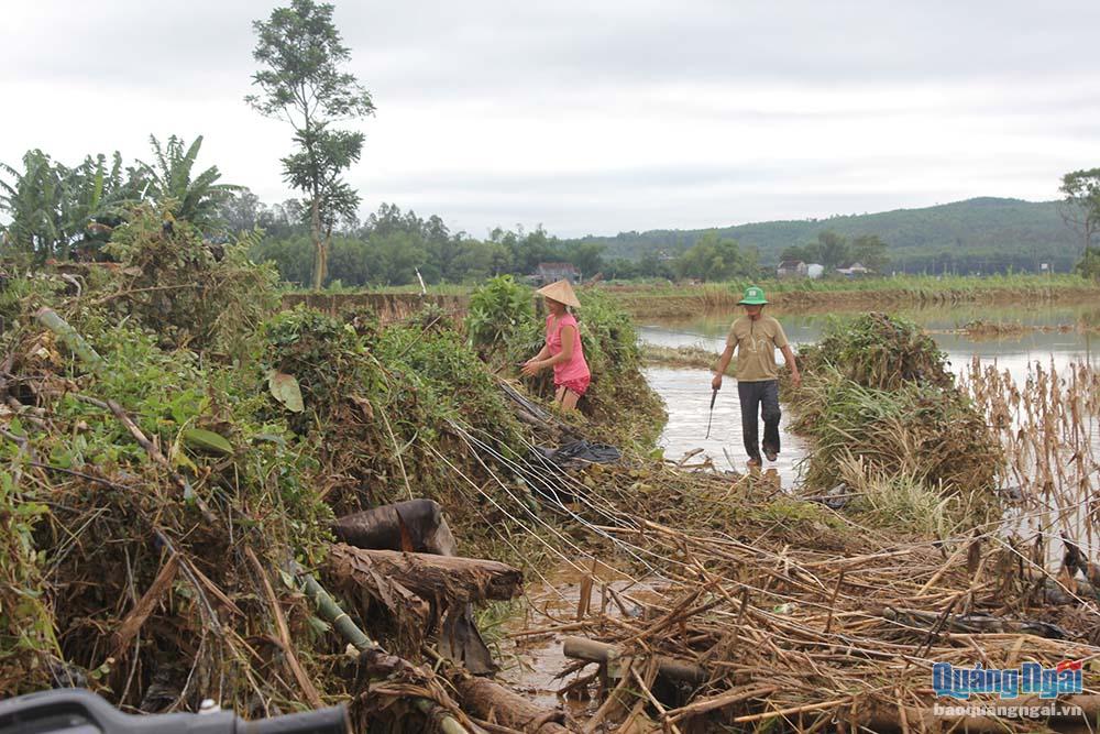 Đường vào xóm Soi, thôn Nam Thuận, xã Bình Chương ( Bình Sơn) nằm bên sông Trà Bồng dây điện ngã đổ, rác rều bám đầy