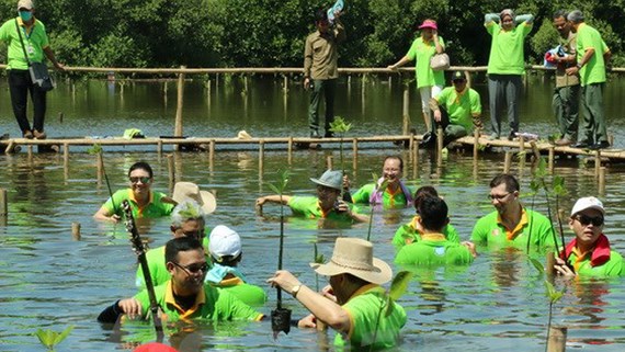 Các đại biểu tham gia trồng cây tại rừng ngập mặn Nam Jakarta, Indonesia. (Ảnh: VIETNAM+)