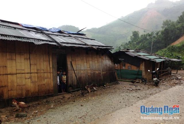 Những ngôi nhà tạm bợ của 49 hộ dân ở thôn Trà Khương, xã Trà Lâm