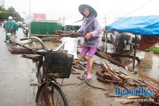Bà Huỳnh Thị Trữ, 60 tuổi, phường Lê Hồng Phong, TP.Quảng Ngãi tranh chủ chở củi về nhà. Bà cho biết, năm nào cũng vậy, cứ canh thời tiết thuận lợi, nước rút, bà lại ra đây vớt củi mang về để dành nấu thức ăn cho heo.