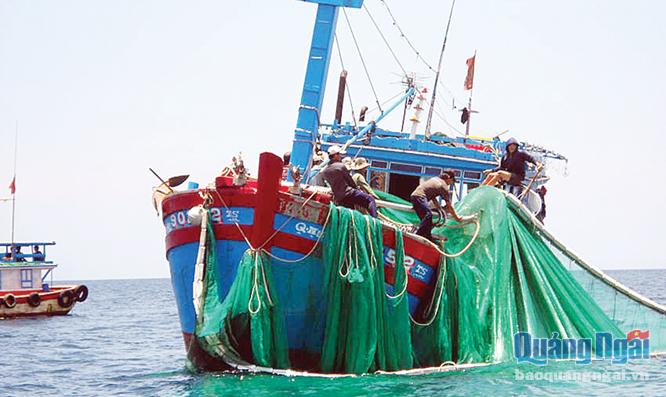 Tàu lưới vây của ngư dân Lý Sơn khai thác hải sản.                        Ảnh: V.M