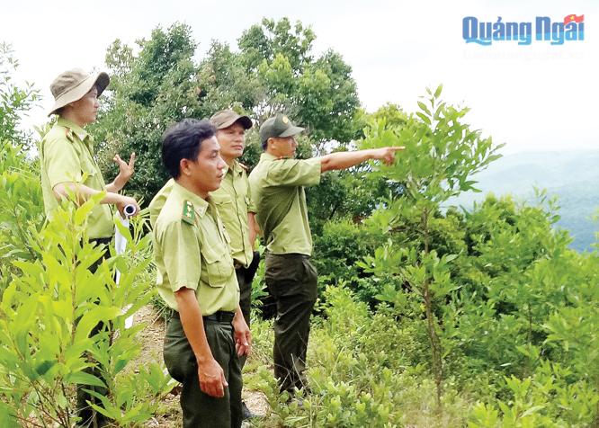 Lực lương Kiểm lâm làm nhiệm vụ bảo vệ rừng trên địa bàn miền núi.