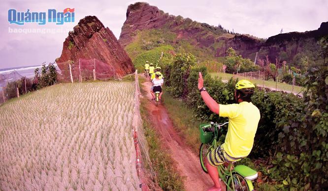 Du khách trải nghiệm với hoạt động đi xe đạp khám phá đảo Lý Sơn.                                                                                                                                                                                                         Ảnh: TH