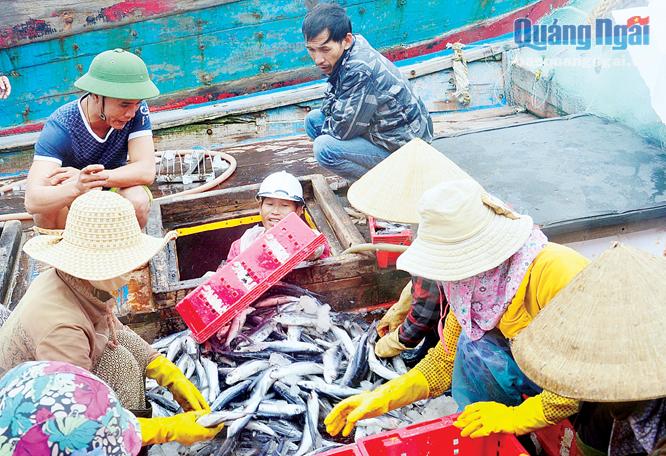 Hiện đại hóa tàu cá, giúp ngư dân nâng cao hiệu quả đánh bắt, bội thu hải sản.                                                                                                                     Ảnh: NV