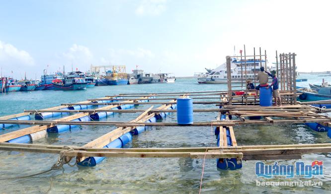 Các hộ nuôi trồng thủy sản Lý Sơn đóng mới lồng bè cho vụ nuôi trồng mới.