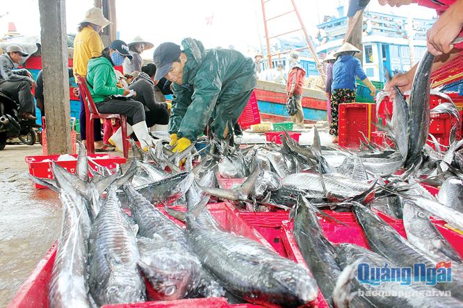 Hải sản của Việt Nam sẽ vào được thị trường Châu Âu, nếu ngư dân khai thác hải sản ở ngư trường hợp pháp.