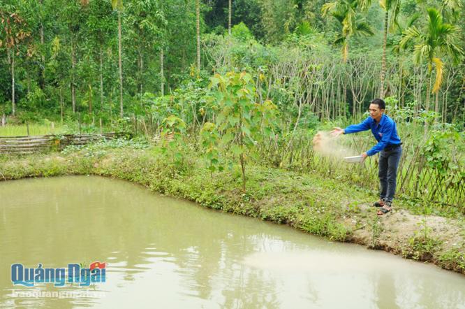 Anh Đinh Văn Nhân, tấm gương sáng vươn lên thoát nghèo ở vùng cao Sơn Bua.