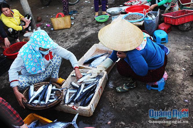 Chị Hằng, tiểu thương ở chợ Tịnh Hòa nhanh tay chọn lấy những con cá chuồn tươi ngon nhất.