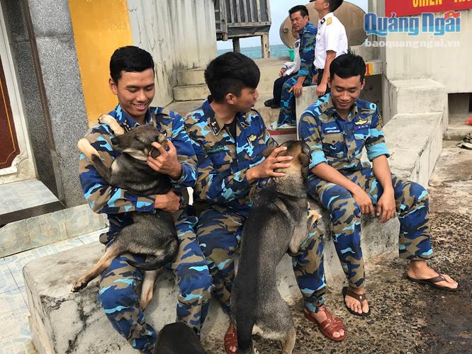  Phút giải lao của những sĩ quan trẻ tàu 561 với những chú chó trên đảo Tốc Tan C.