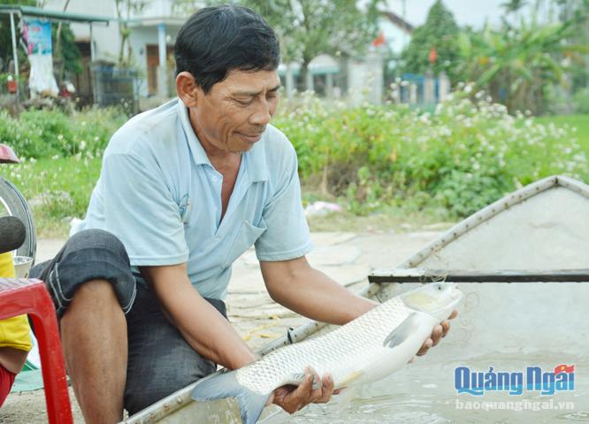 Năm nay nuôi cá được mùa, được giá nên nhiều hộ nông dân Tịnh Sơn rất phấn khởi.