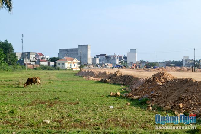Đất nông nghiệp vốn đã ít của Nghĩa Phú, nay lại càng thêm teo tóp bởi hàng loạt các dự án triển khai tại địa phương.