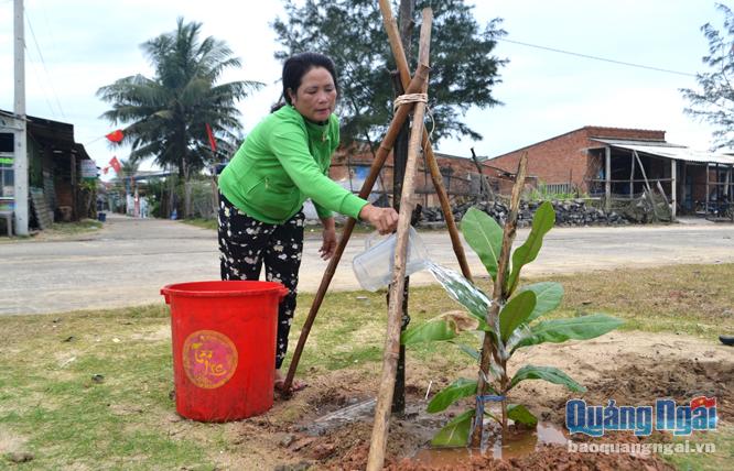 Người dân Nghĩa An (TP.Quảng Ngãi) tham gia chăm sóc cây bàng vuông do Hội Nông dân xã trồng tại vùng ven biển.