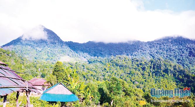 Núi Cà Đam, xã Trà Bùi (Trà Bồng) là một trong những điểm đến hấp dẫn du khách.