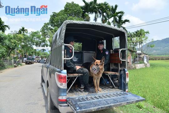 Chó nghiệp vụ được sử dụng để truy bắt các nghi phạm