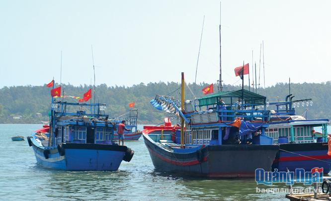  Bắt đầu từ năm 2018, tàu thuyền ra vào cảng cá Tịnh Kỳ (TP.Quảng Ngãi) phải được Văn phòng đại diện kiểm soát nghề cá thực hiện kiểm tra, kiểm soát.   