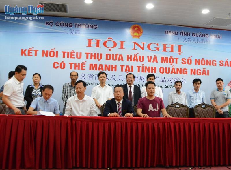 Các doanh nghiệp Trung Quốc ký kết hợp tác tiêu thụ dưa hấu với 6 HTX của tỉnh Quảng Ngãi.