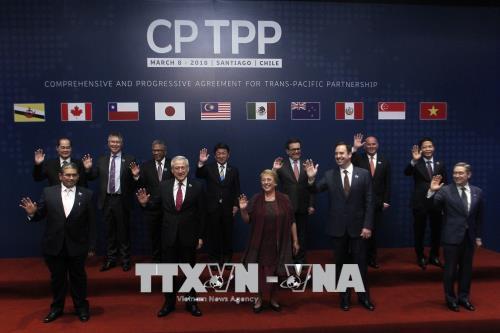 Đại diện các nước tham gia lễ ký Hiệp định CPTPP chụp ảnh chung tại Santiago ngày 8-3. Ảnh: AFP/TTXVN