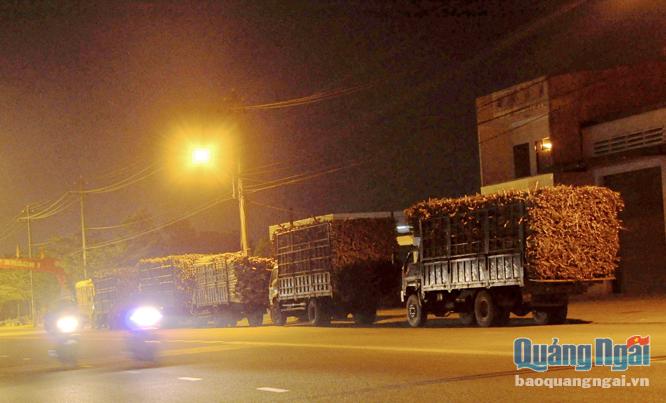 Nhiều xe tải có dấu hiệu chở quá tải, quá khổ dừng trên đường Hoàng Hoa Thám khi nghe có CSGT làm nhiệm vụ gần đó