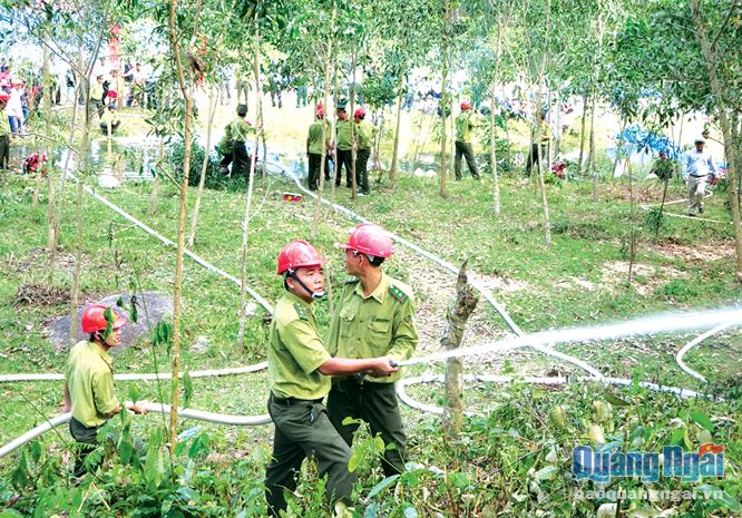 Lực lượng Kiểm lâm Quảng Ngãi diễn tập phòng cháy chữa cháy rừng.