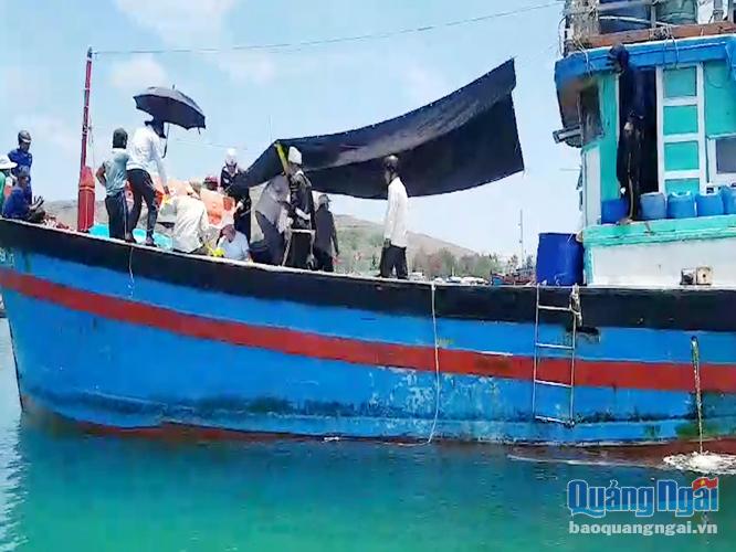 Tàu cá QNg 96339 của ông Nguyễn Chín đưa 3 xác ngư dân trở về Lý Sơn