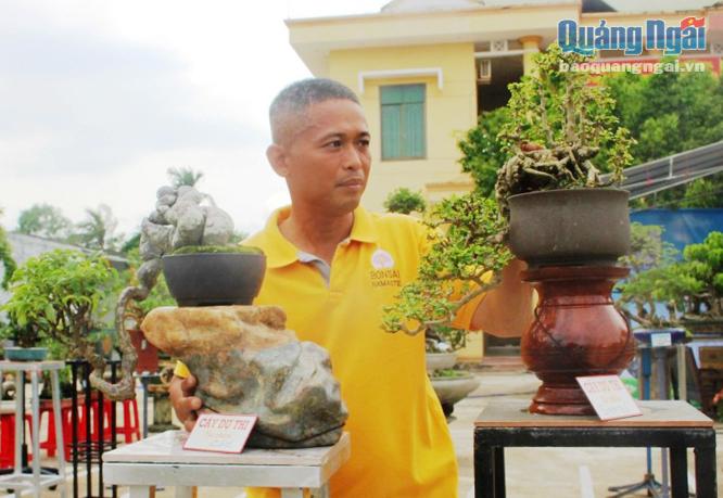 Hai tác phẩm nghệ thuật bonsai (cây cốc và cây sam núi) của anh Võ Văn Hòa đoạt giải cao.
