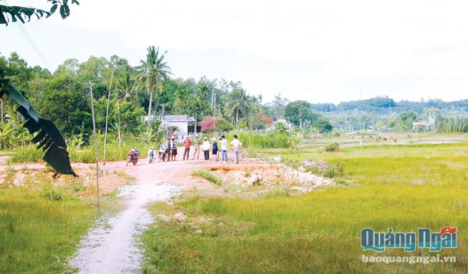 Nhiều diện tích đất lúa của người dân xã Bình Phước (Bình Sơn) không sản xuất được, do thi công Nhà máy Bột - Giấy VN19.