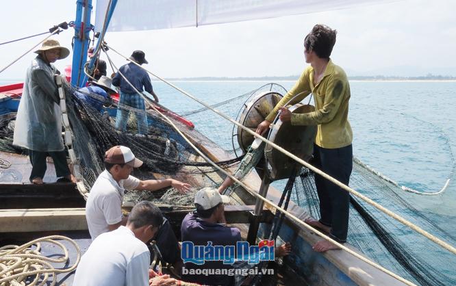 Ngư dân Phổ Quang hùn vốn đầu tư ngư lưới cụ, để cùng nhau khai thác hải sản.
