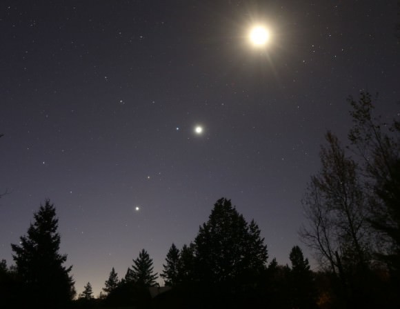 Từ trên xuống: Mặt trăng, sao lùn Regulus, sao Kim, sao Hỏa và sao Mộc - Ảnh: universetoday
