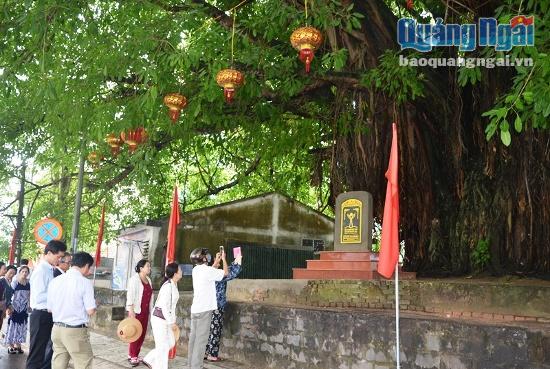 Cây đa sộp hơn 300 tuổi ở phường Trương Quang Trọng, TP.Quảng Ngãi.