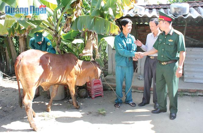 Ban CHQS TP. Quảng Ngãi tặng bò giống cho gia đình ông Đỗ Vân, thôn Tư Cung, xã Tịnh Khê.
