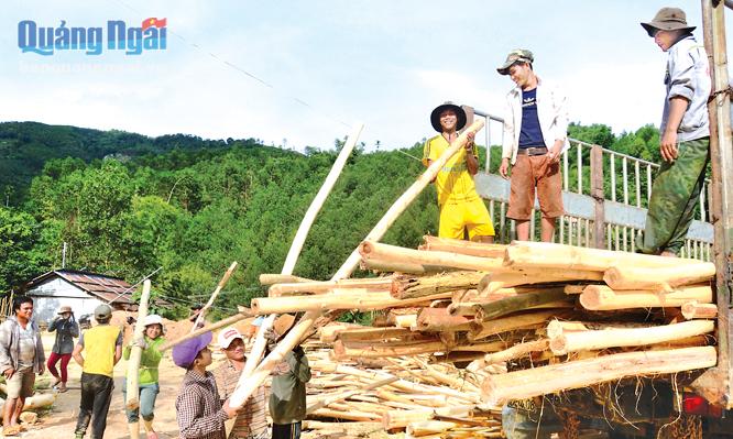 Phần lớn lao động ở huyện Sơn Tây chưa qua đào tạo, nên khó có thu nhập cao khi tham gia xuất khẩu lao động.