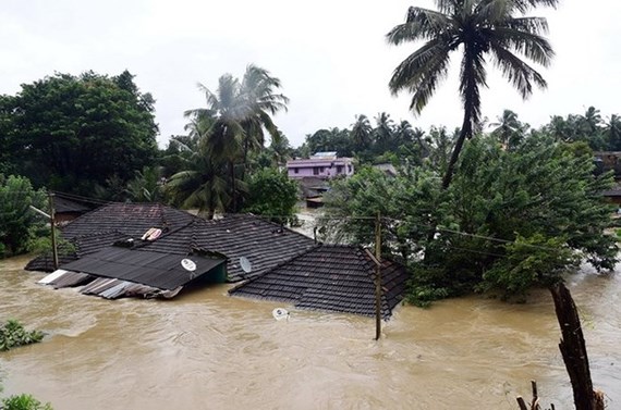  Nhiều ngôi nhà bị nhấn chìm trong nước lũ ở bang Kerala, miền Nam Ấn Độ. 