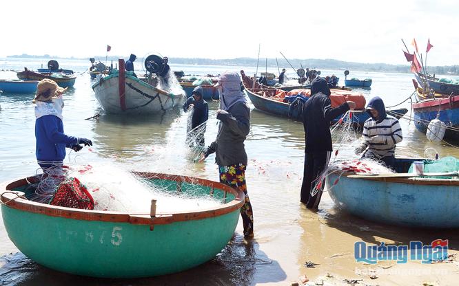 Nguồn lợi hải sản gần bờ suy giảm, ảnh hưởng lớn đến cuộc sống của người dân các xã bãi ngang ven biển.