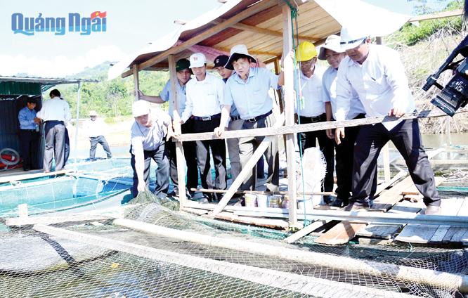 Chủ tịch UBND tỉnh Trần Ngọc Căng (thứ 4 từ phải sang) kiểm tra mô hình nuôi cá lồng bè trên hồ Nước Trong, tại xã Trà Xinh (Tây Trà).
